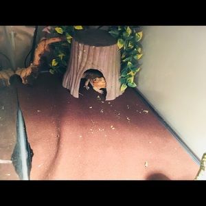 Meet your Posher, Taylor